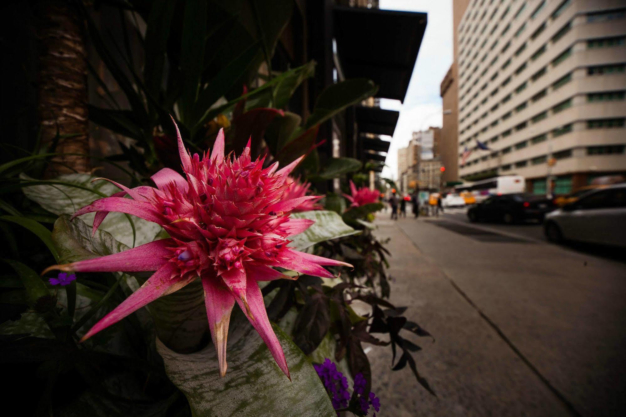Hotel Duane Street Hotel Tribeca, Sonder